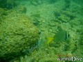 foto de buceo