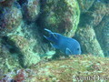 foto de buceo