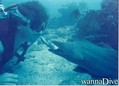 foto de buceo