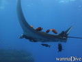 foto de buceo