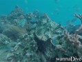 foto de buceo
