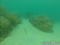 foto de buceo