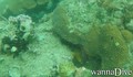 foto de buceo