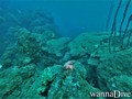 foto de buceo