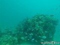 foto de buceo