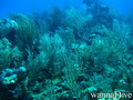 foto de buceo