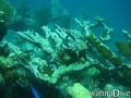 foto de buceo