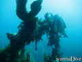 foto de buceo