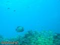 foto de buceo