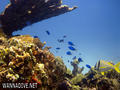 foto de buceo