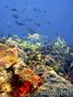 foto de buceo