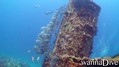 foto de buceo