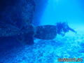 foto de buceo
