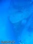 foto de buceo