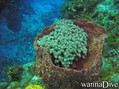 foto de buceo