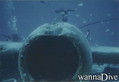 foto de buceo
