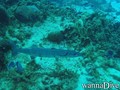 foto de buceo