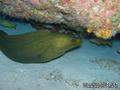 foto de buceo