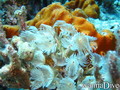 foto de buceo