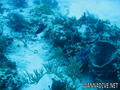 foto de buceo