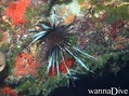 foto de buceo