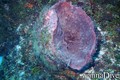 foto de buceo