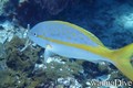foto de buceo