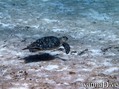 foto de buceo