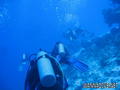 foto de buceo