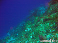 foto de buceo