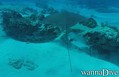 foto de buceo