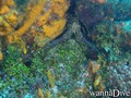 foto de buceo