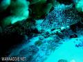 foto de buceo