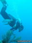 foto de buceo