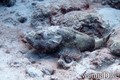 foto de buceo
