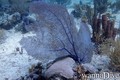 foto de buceo