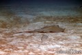 foto de buceo