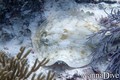 foto de buceo