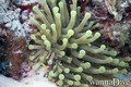 foto de buceo