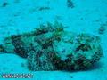 foto de buceo