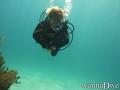 foto de buceo