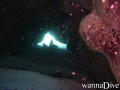 foto de buceo