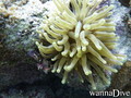 foto de buceo