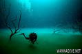 foto de buceo