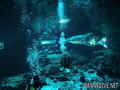 foto de buceo