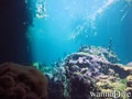 foto de buceo
