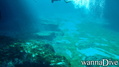 foto de buceo