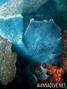 foto de buceo