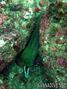 foto de buceo