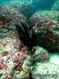 foto de buceo
